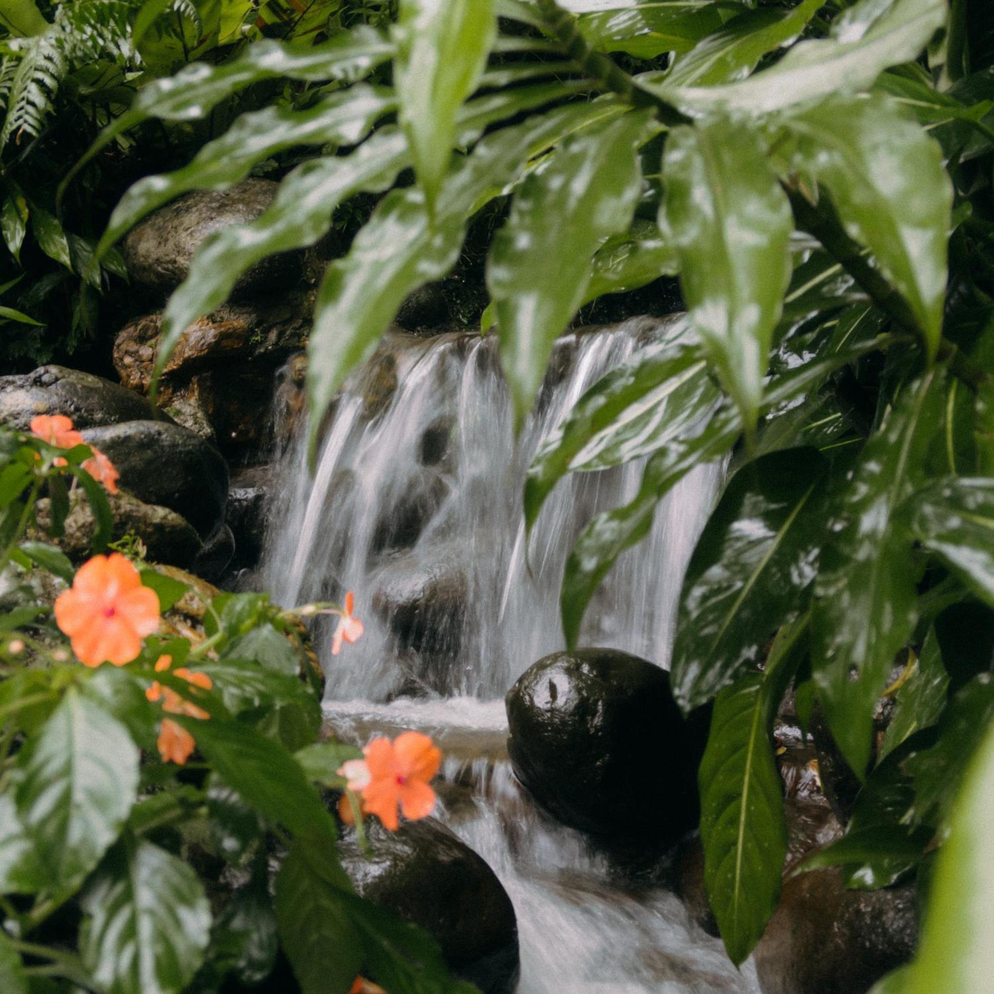 Habitat Hills Hotel Cisarua Ngoại thất bức ảnh